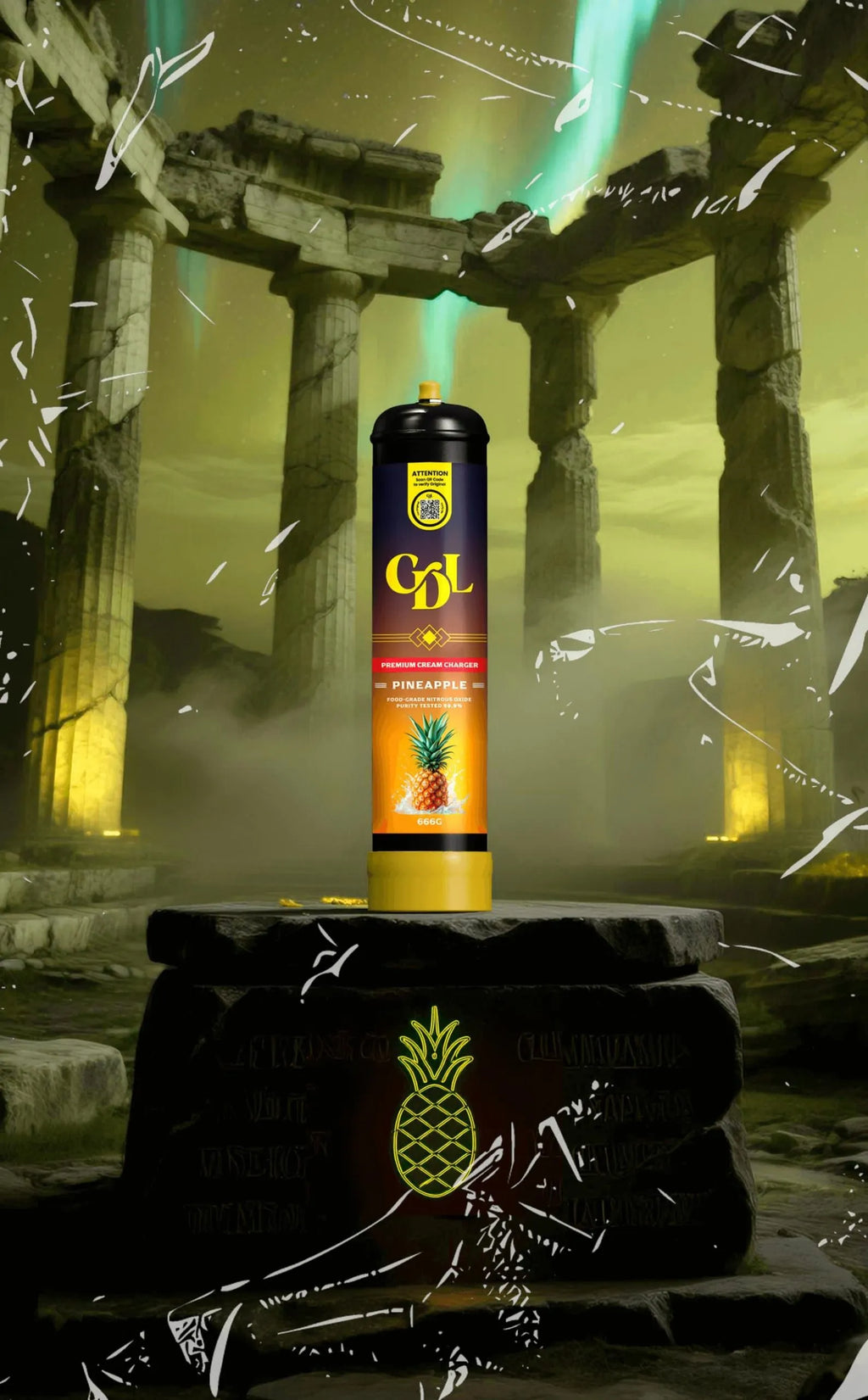 Carton - 6 Bonbonnes de 666g